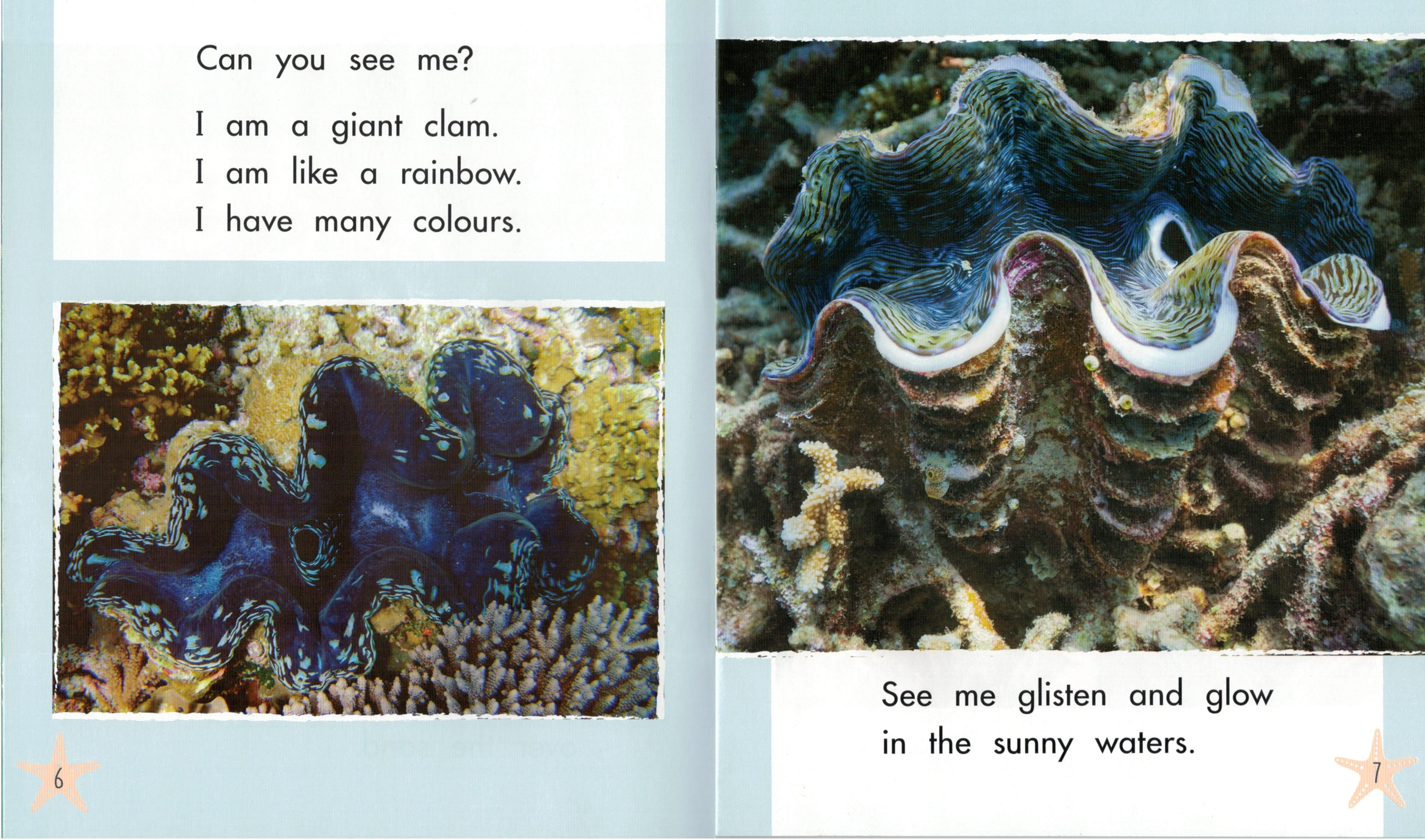 Sunshine Starters Level 11: Can You See Me?
