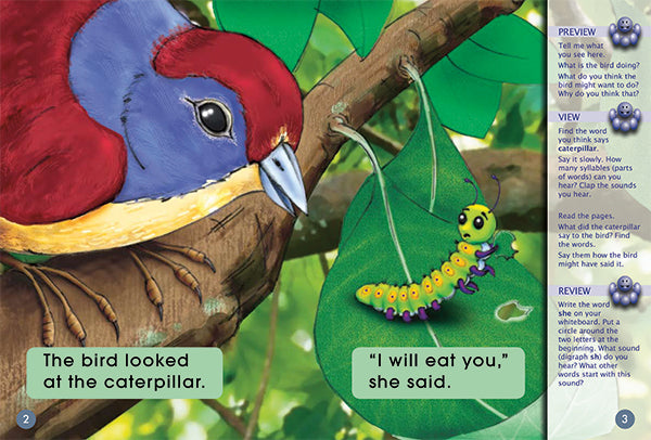 Key Links Red (Book1 0, Level 4):  Caterpillar, Caterpillar