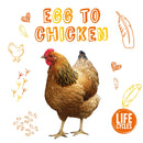 Life Cycles: Chicken-PB