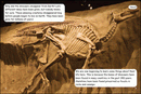 Red Rocket Fluency Level 4 Non Fiction B (Level 22): Disappearing Dinosaurs