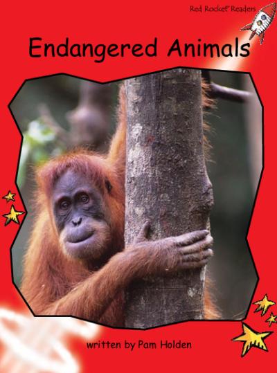 Red Rocket Readers Big Book: Endangered Animals