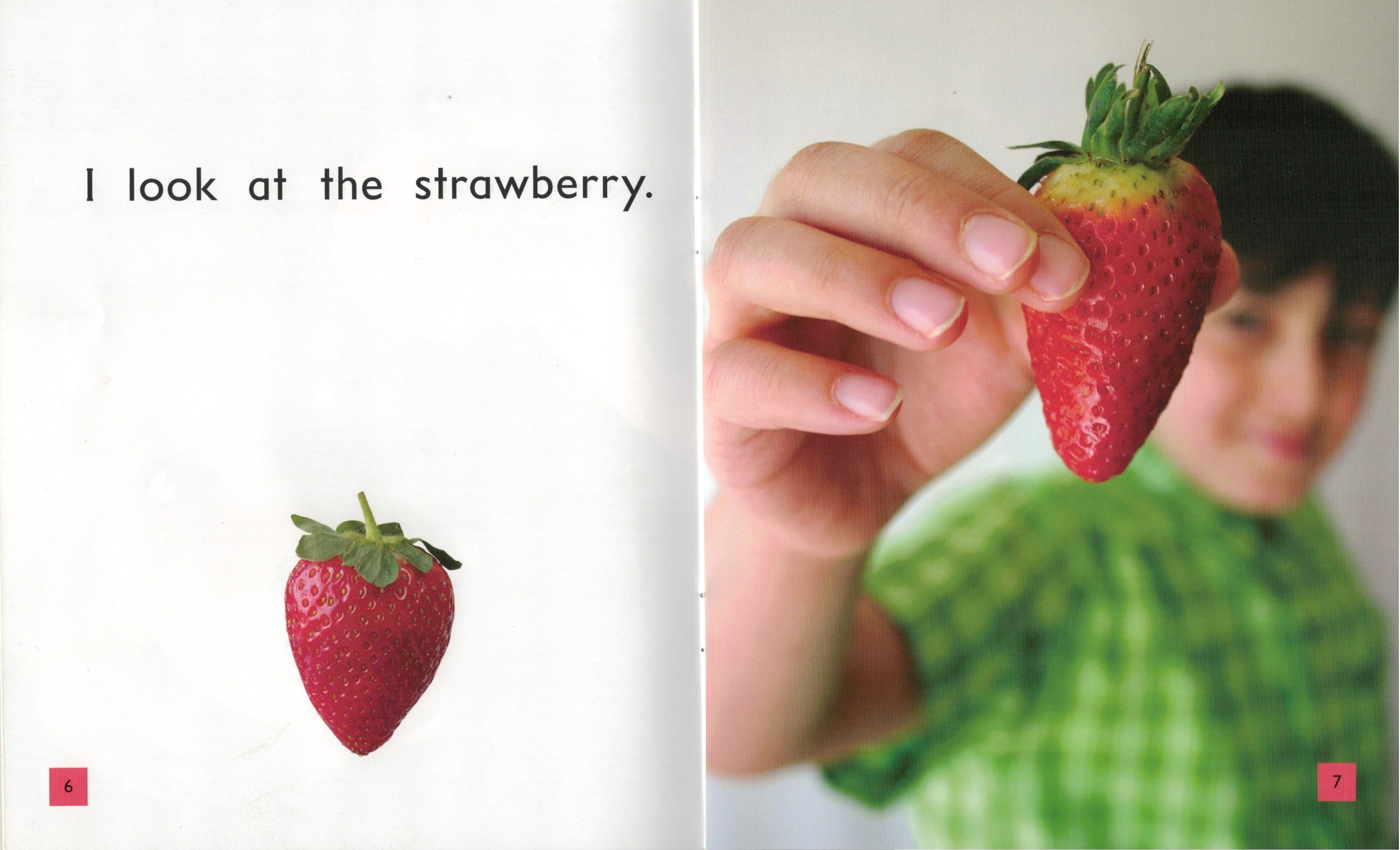 FS Level 01: I Look at the Fruit