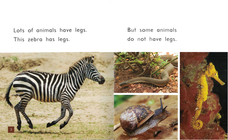 FS Level 4: Amazing Animal Parts