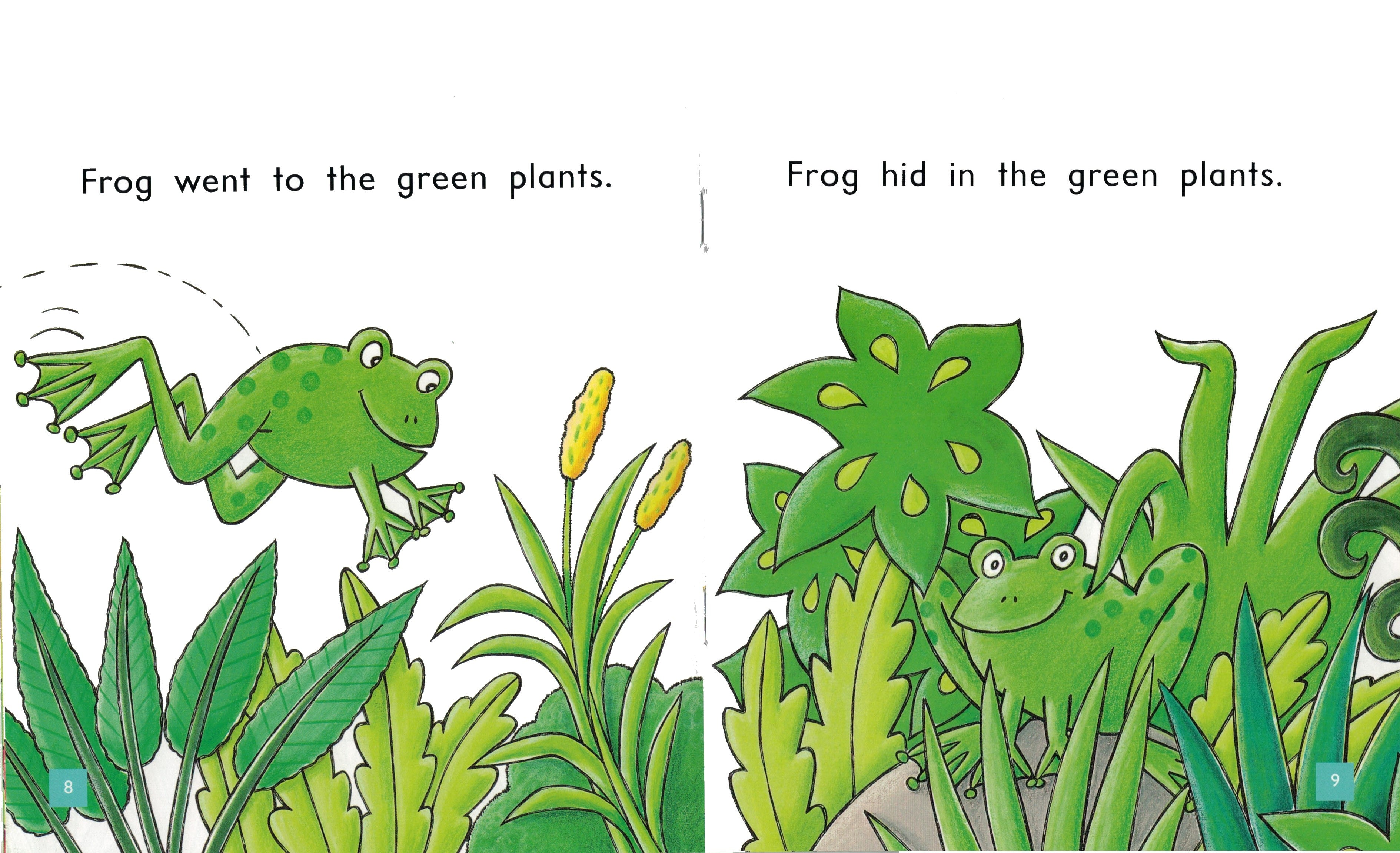 FS Level 4: Where is Frog?
