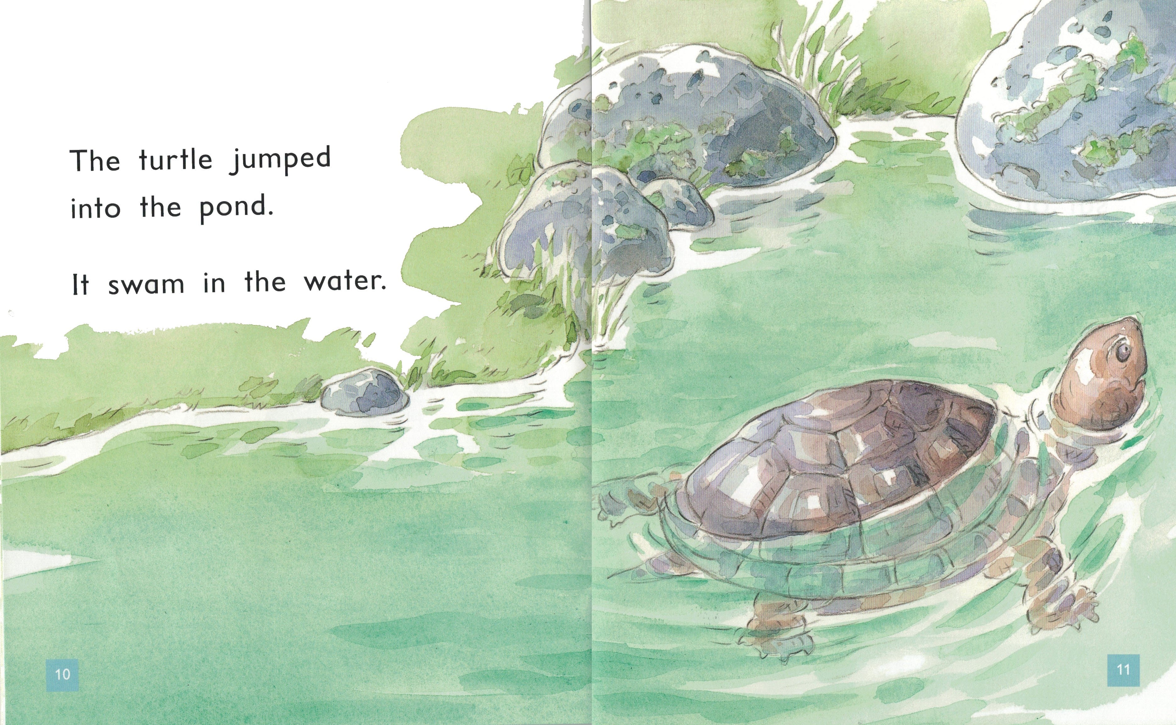 FS Level 6: A Home For Turtle