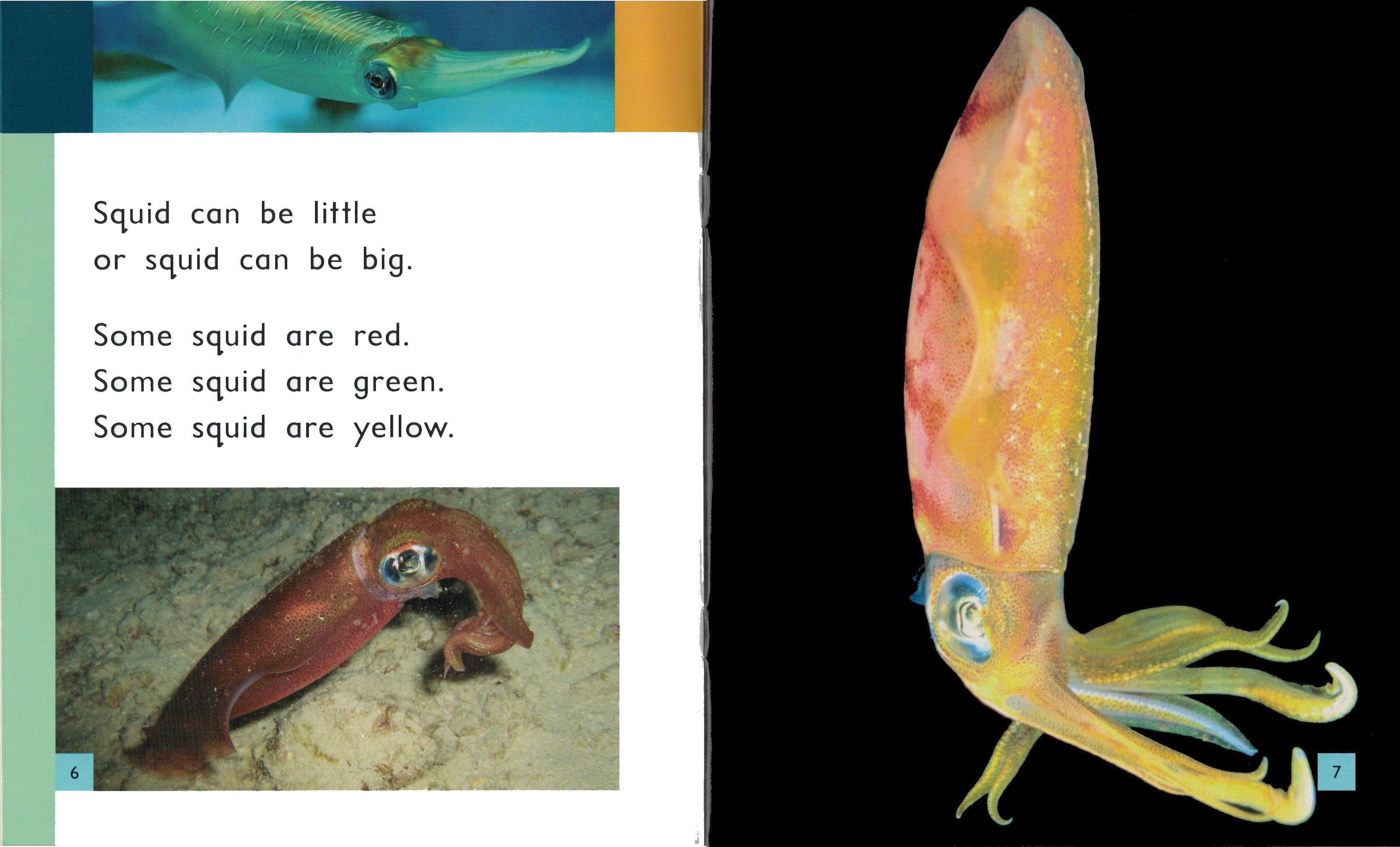 FS Level 7: Squid