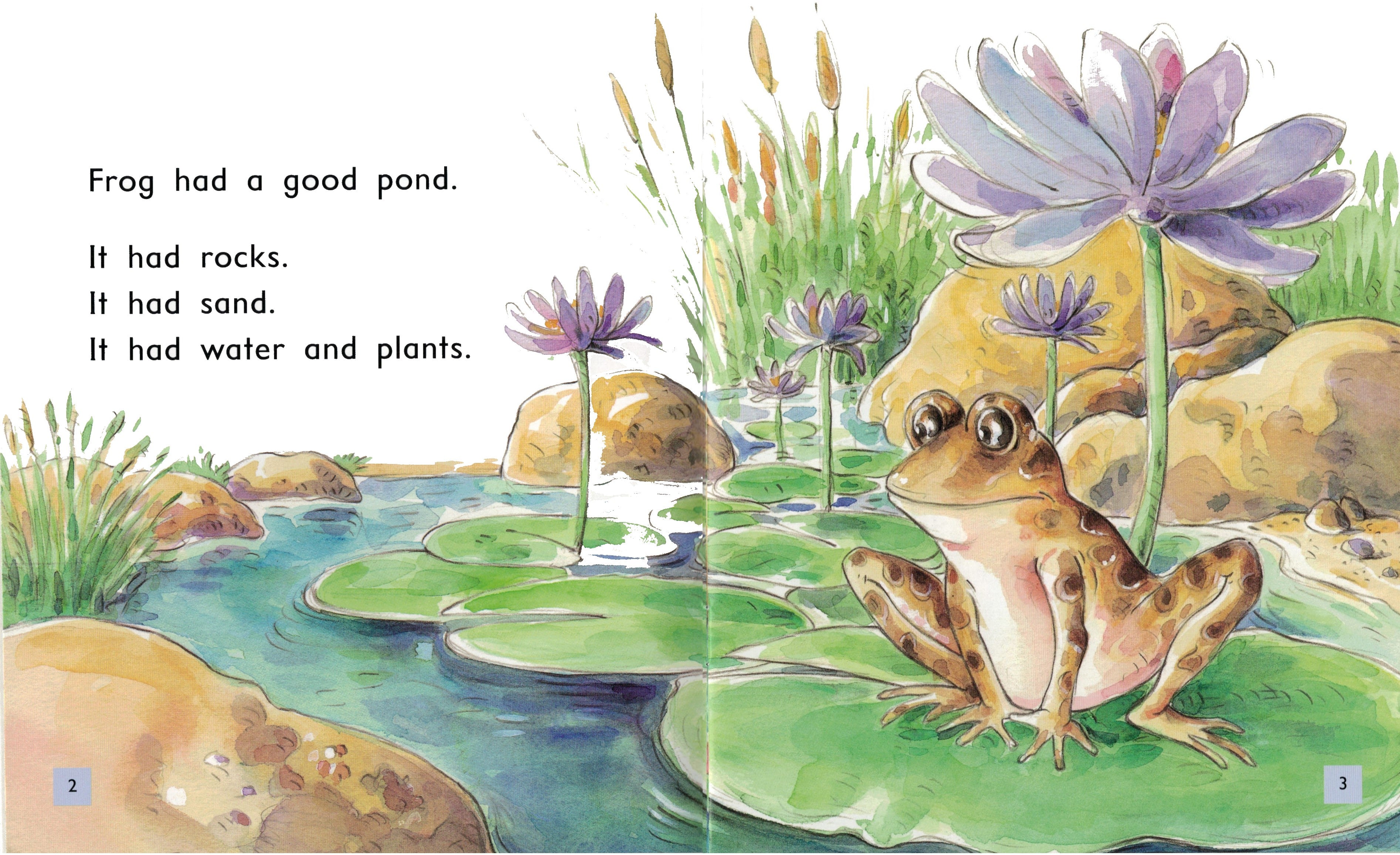 FS Level 8: Frog's New Pond