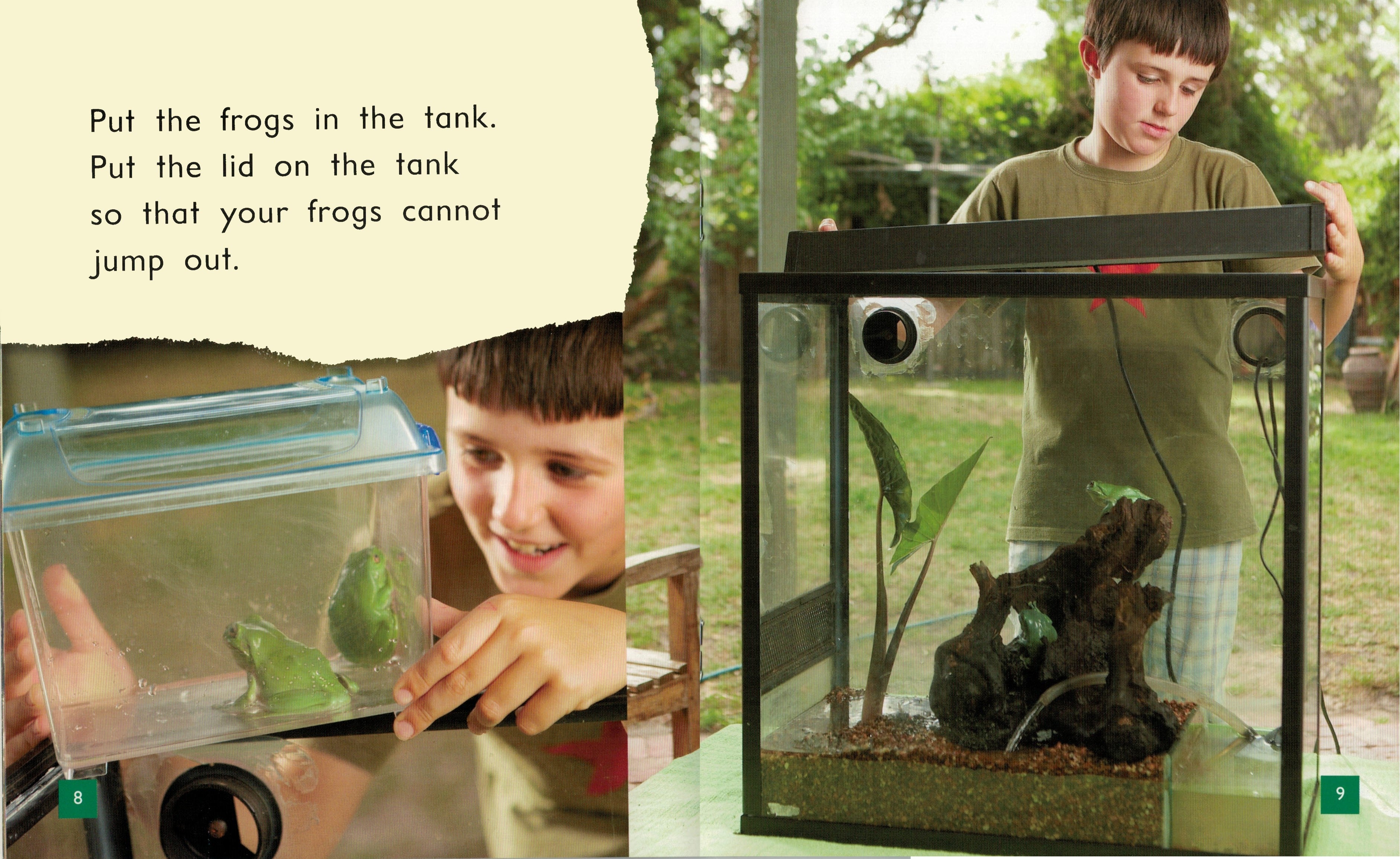 FS Level 8: Looking After Your Frogs