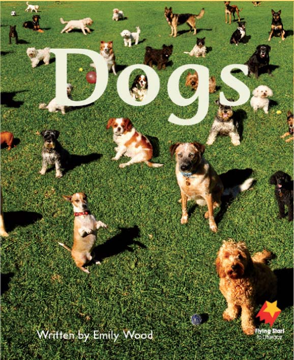 FS Level 01: Dogs