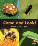 FS Level 02: Come and Look!