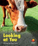 FS Level 02: Looking at You