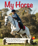 FS Level 3: My Horse
