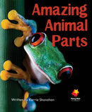 FS Level 4: Amazing Animal Parts