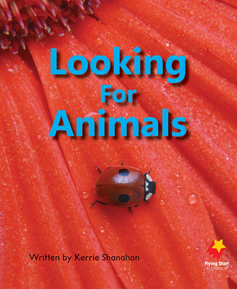 FS Level 4: Looking For Animals