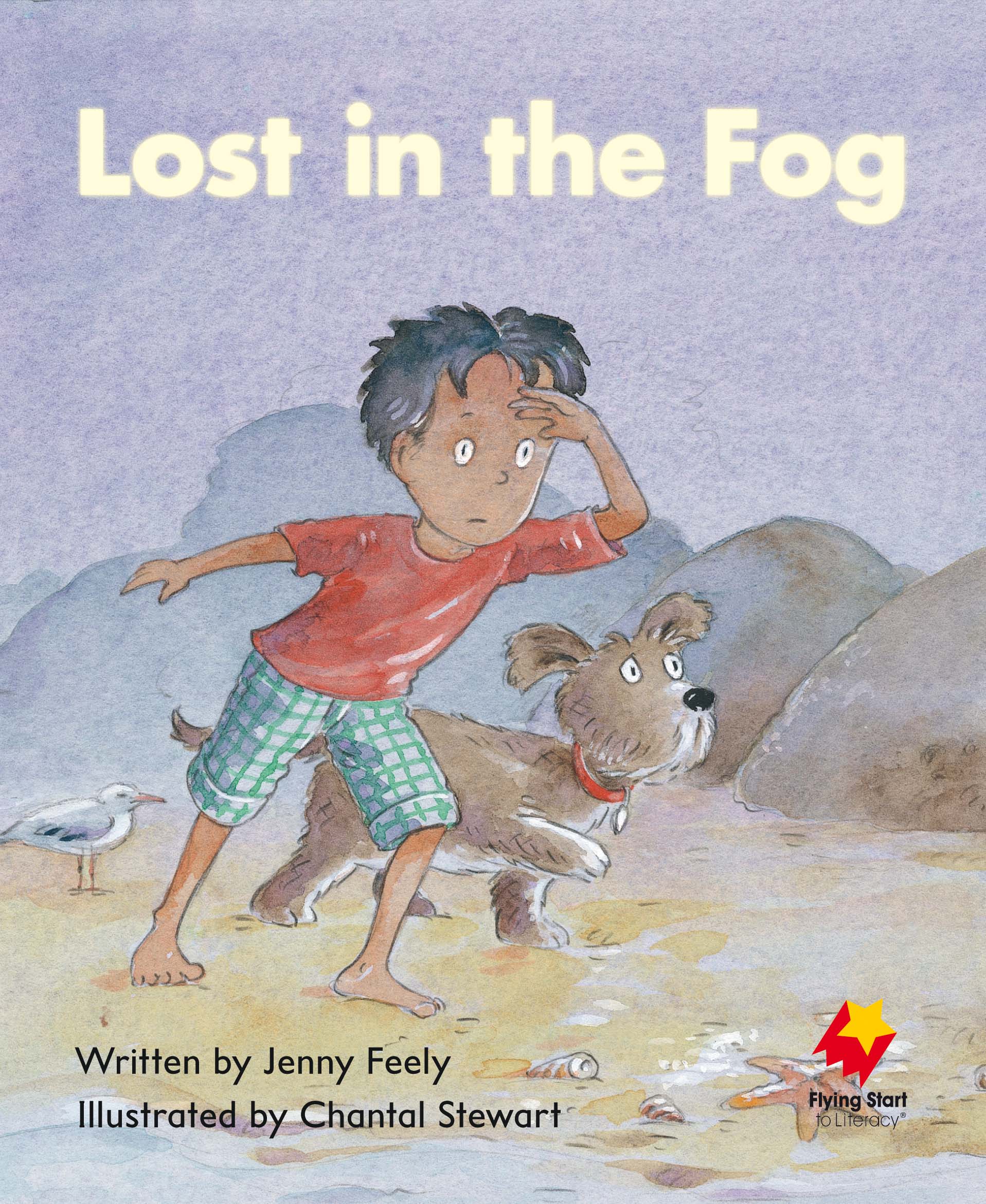 FS Level 4: Lost in the Fog