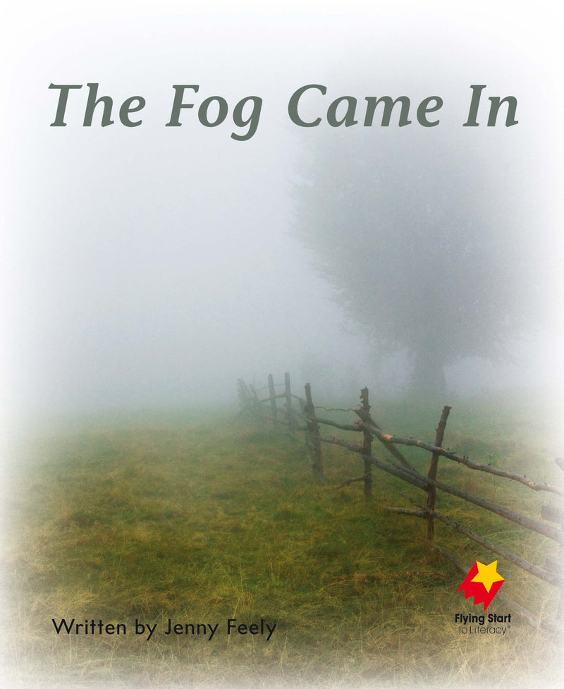 FS Level 4: The Fog Came In