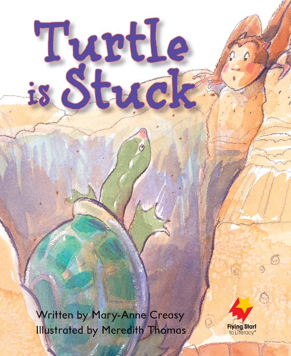 FS Level 4: Turtle is Stuck