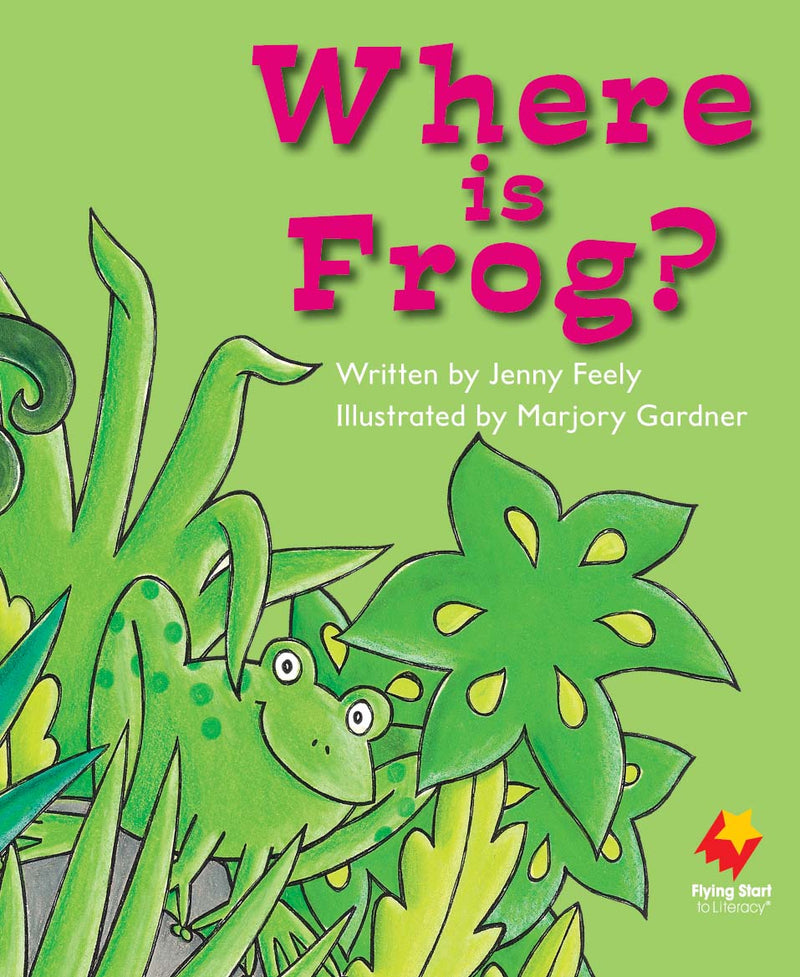 FS Level 4: Where is Frog?
