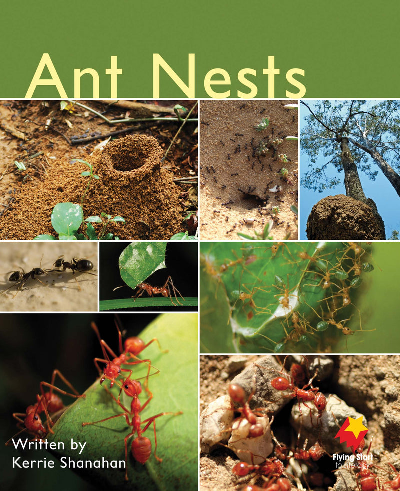 FS Level 5: Ant Nests