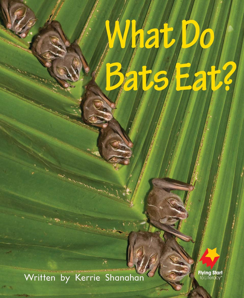 FS Level 5: What Do Bats Eat?