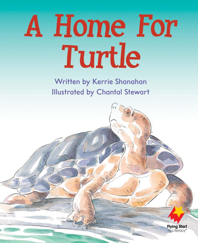 FS Level 6: A Home For Turtle