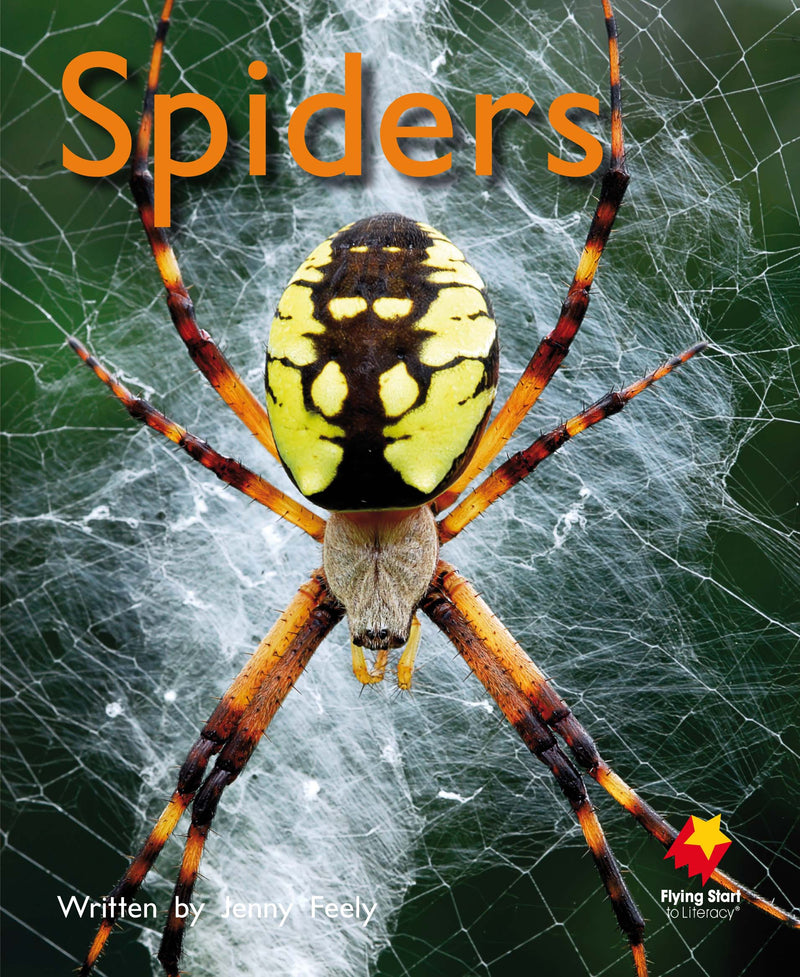 FS Level 6: Spiders