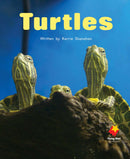 FS Level 6: Turtles
