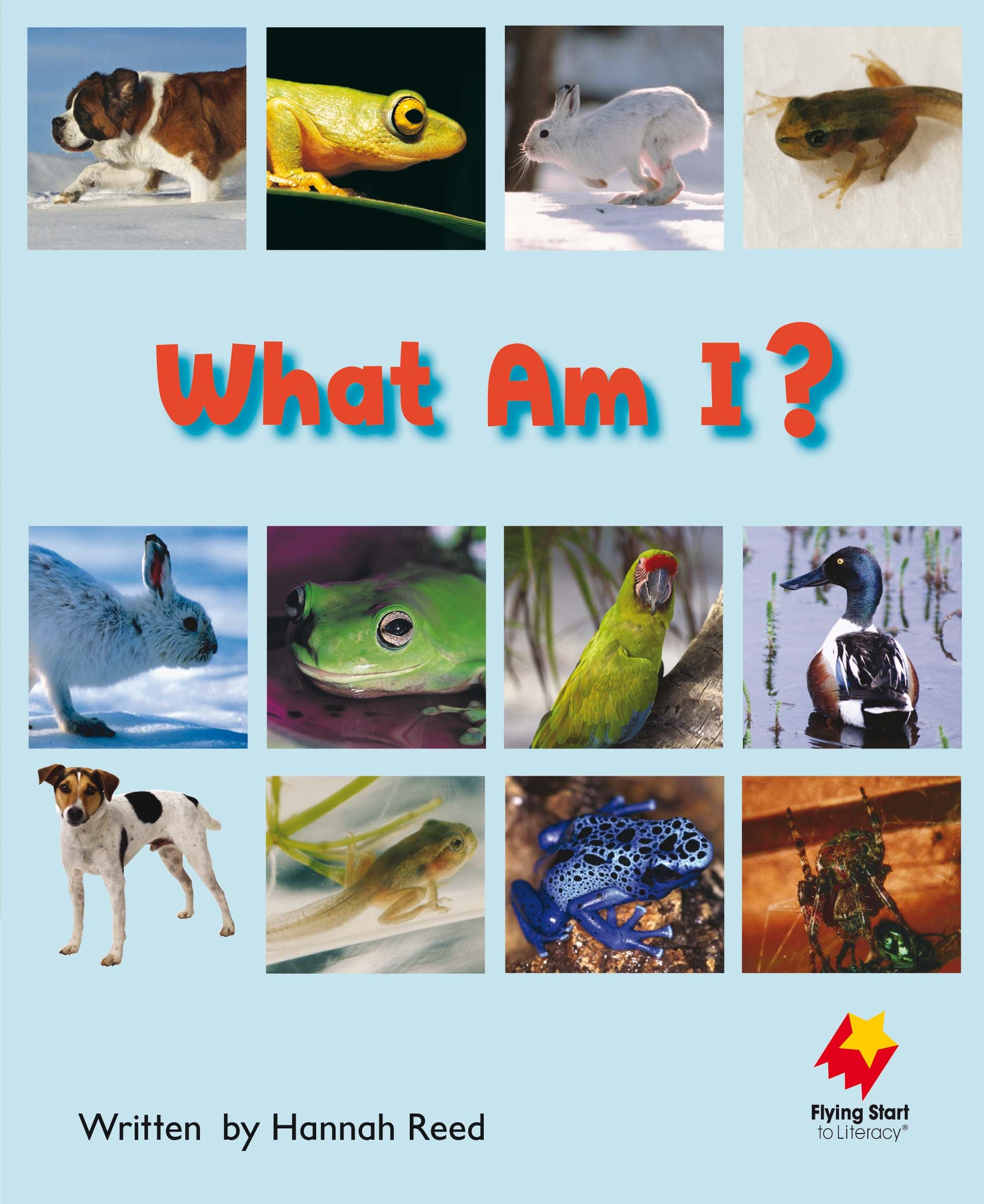 FS Level 6: What Am I?