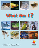 FS Level 6: What Am I?