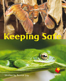 FS Level 10: Keeping Safe