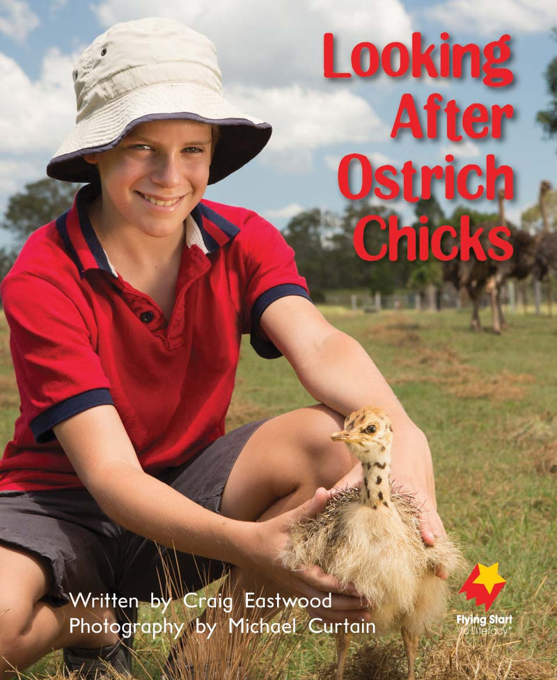 FS Level 10: Looking After Ostrich Chicks