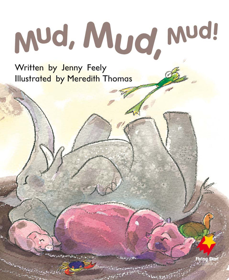 FS Level 10: Mud, Mud, Mud!
