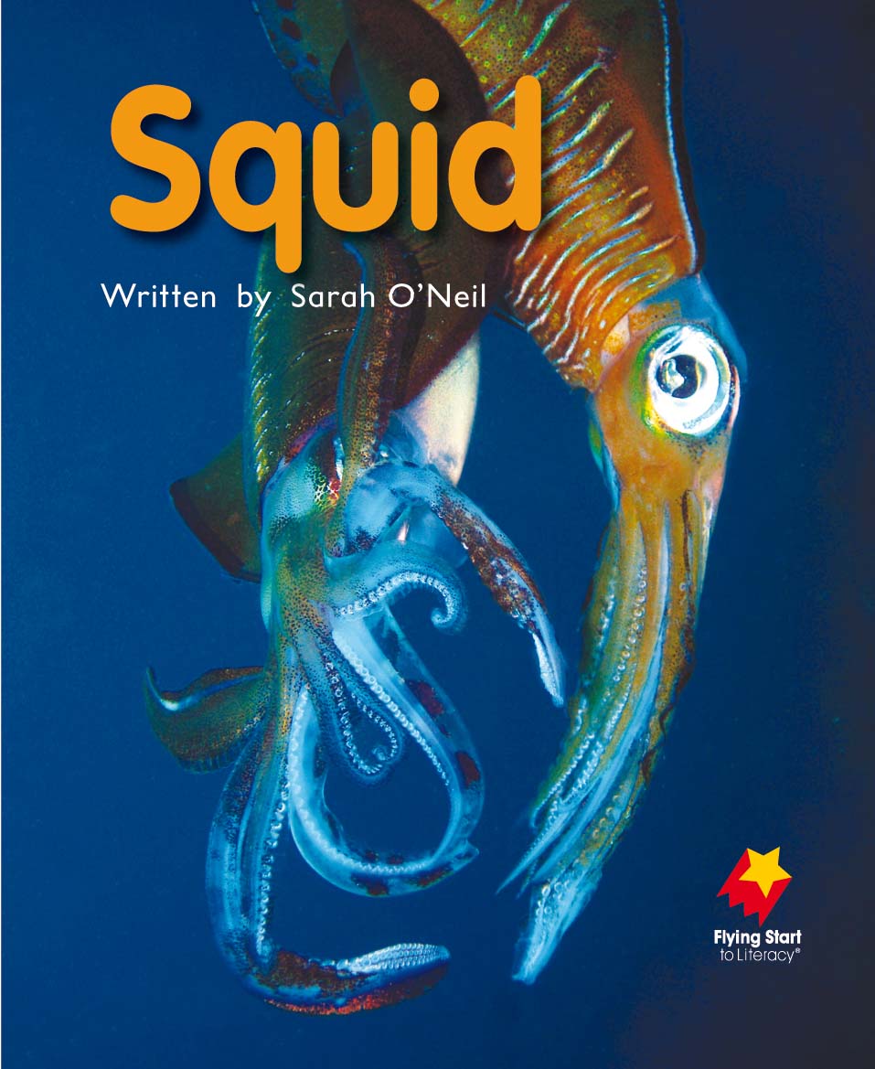 FS Level 7: Squid