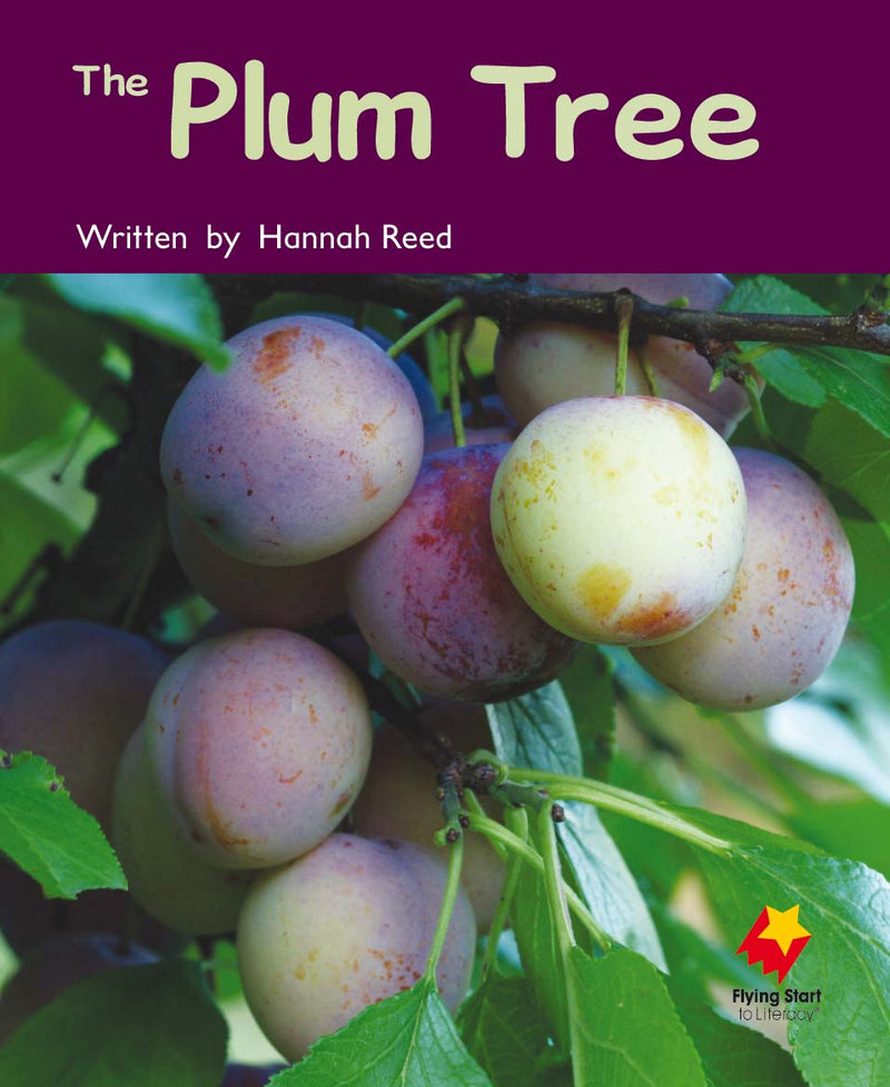 FS Level 7: The Plum Tree