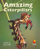 FS Level 9: Amazing Caterpillars
