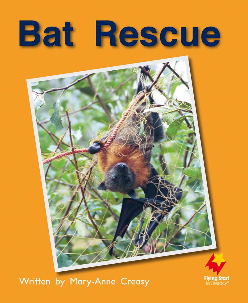 FS Level 9: Bat Rescue