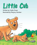 FS Level 9: Little Cub