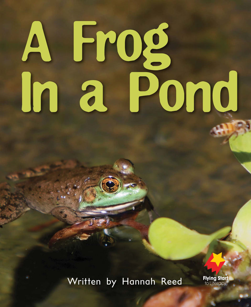 FS Level 11: A Frog In a Pond