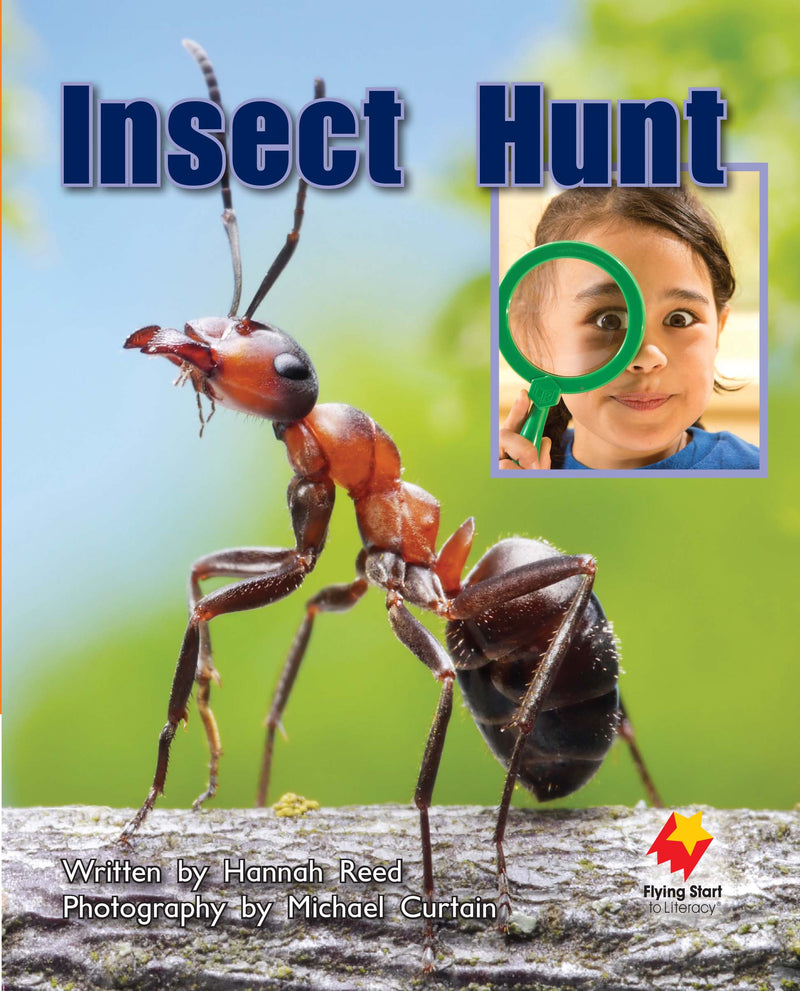 FS Level 11: Insect Hunt