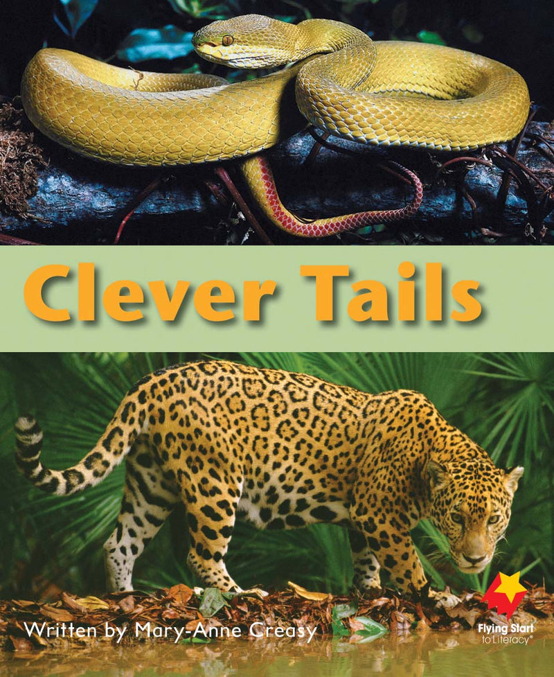 FS Level 12: Clever Tails