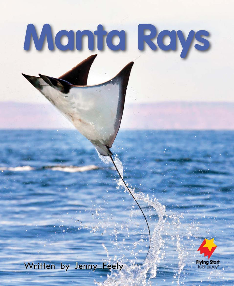 FS Level 12: Manta Rays