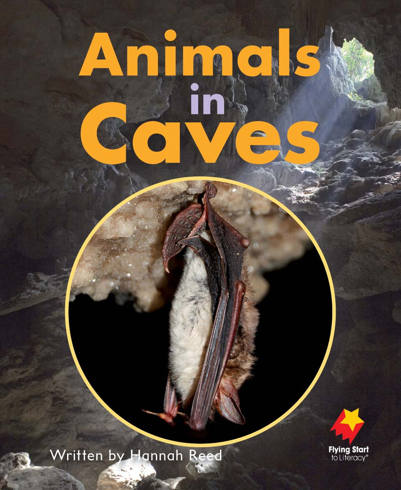 FS Level 13: Animals in Caves