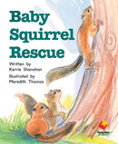 FS Level 13: Baby Squirrel Rescue