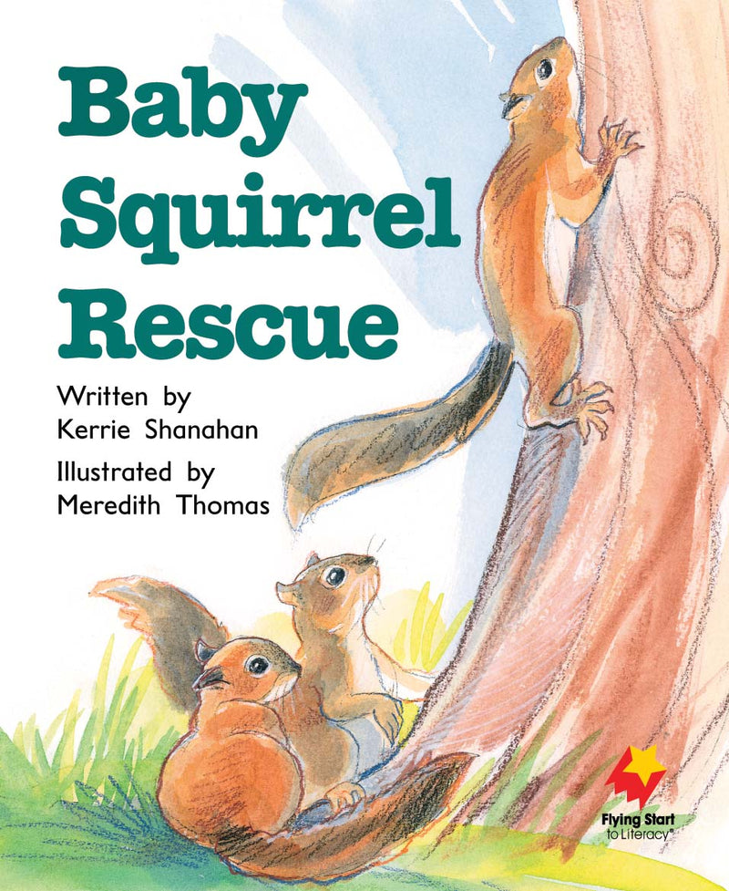 FS Level 13: Baby Squirrel Rescue