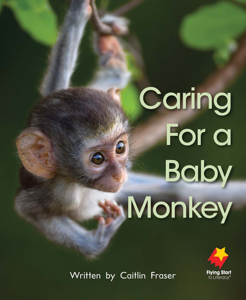 FS Level 13: Caring For a Baby Monkey