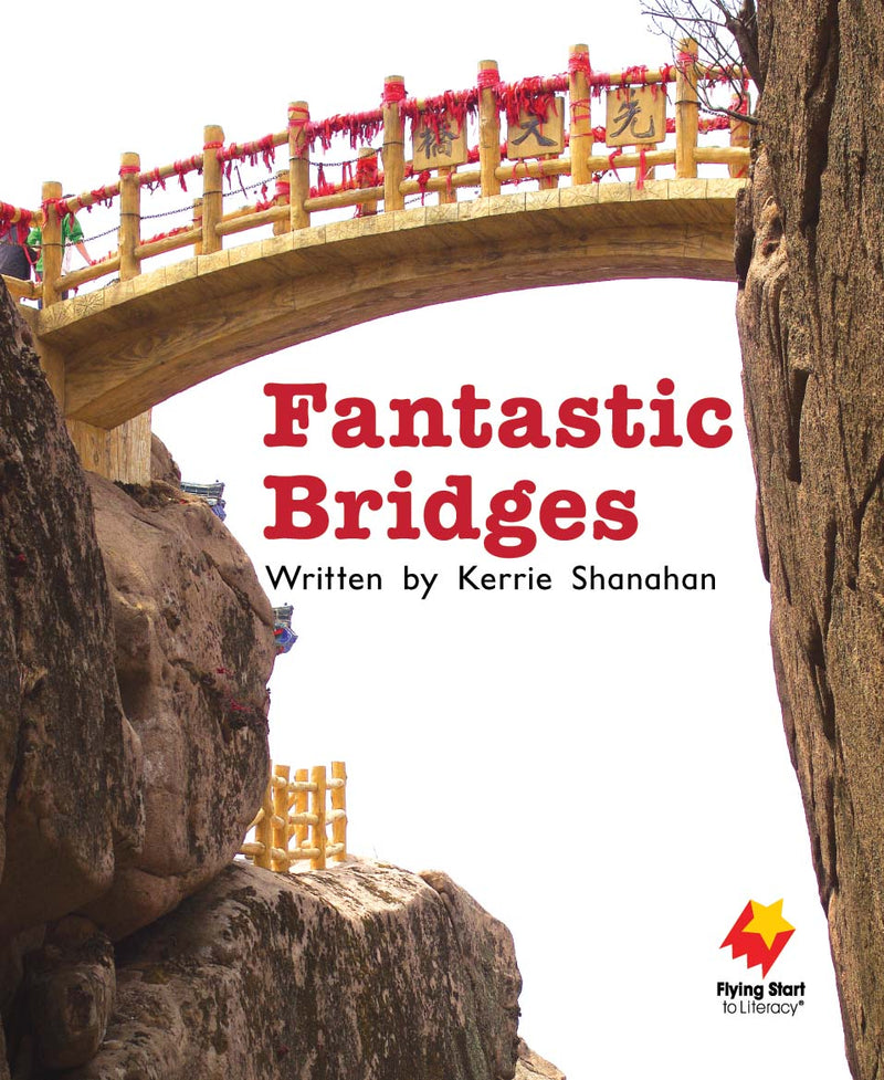 FS Level 13: Fantastic Bridges