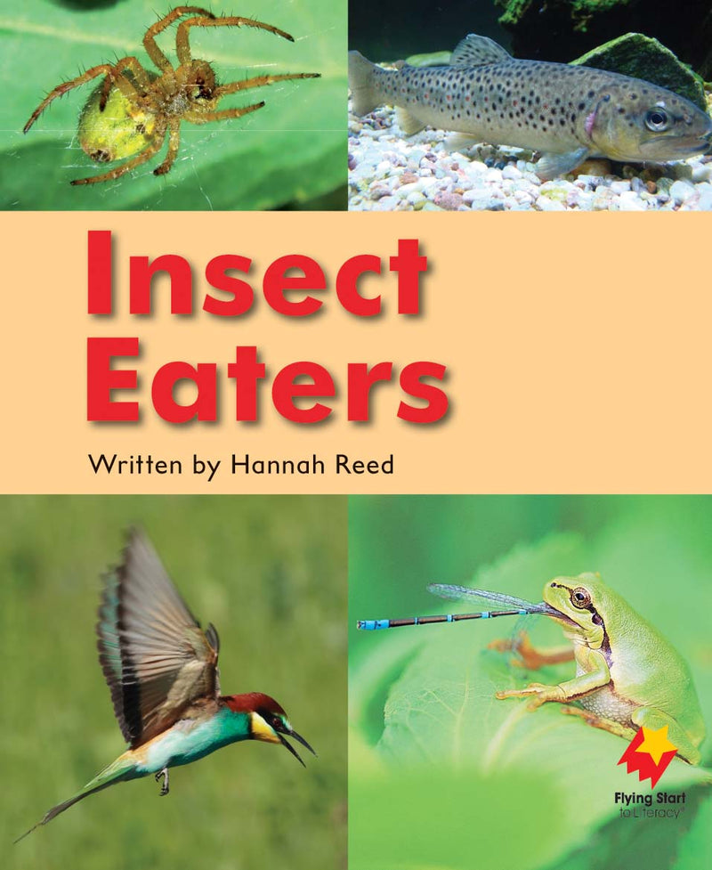FS Level 13: Insects Eaters