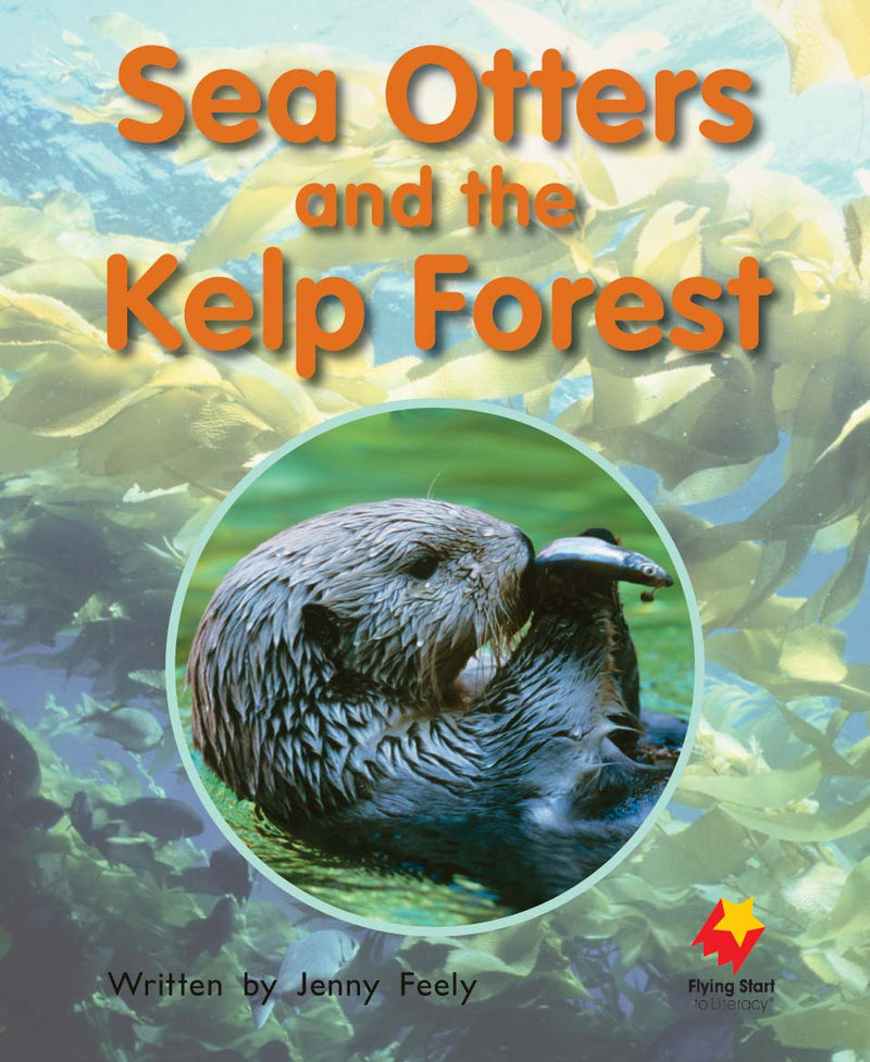 FS Level 14: Sea Otters and the Kelp Forest