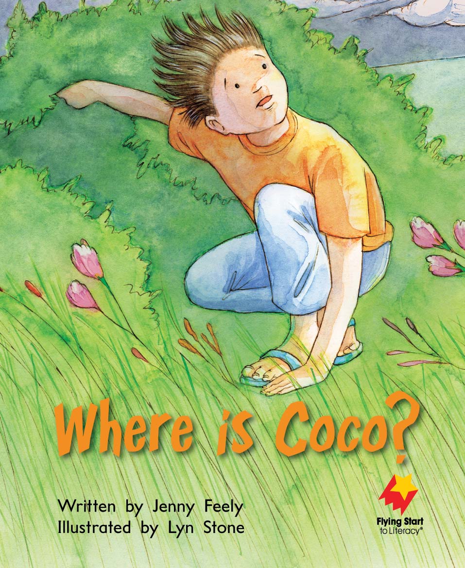 FS Level 14: Where is Coco?
