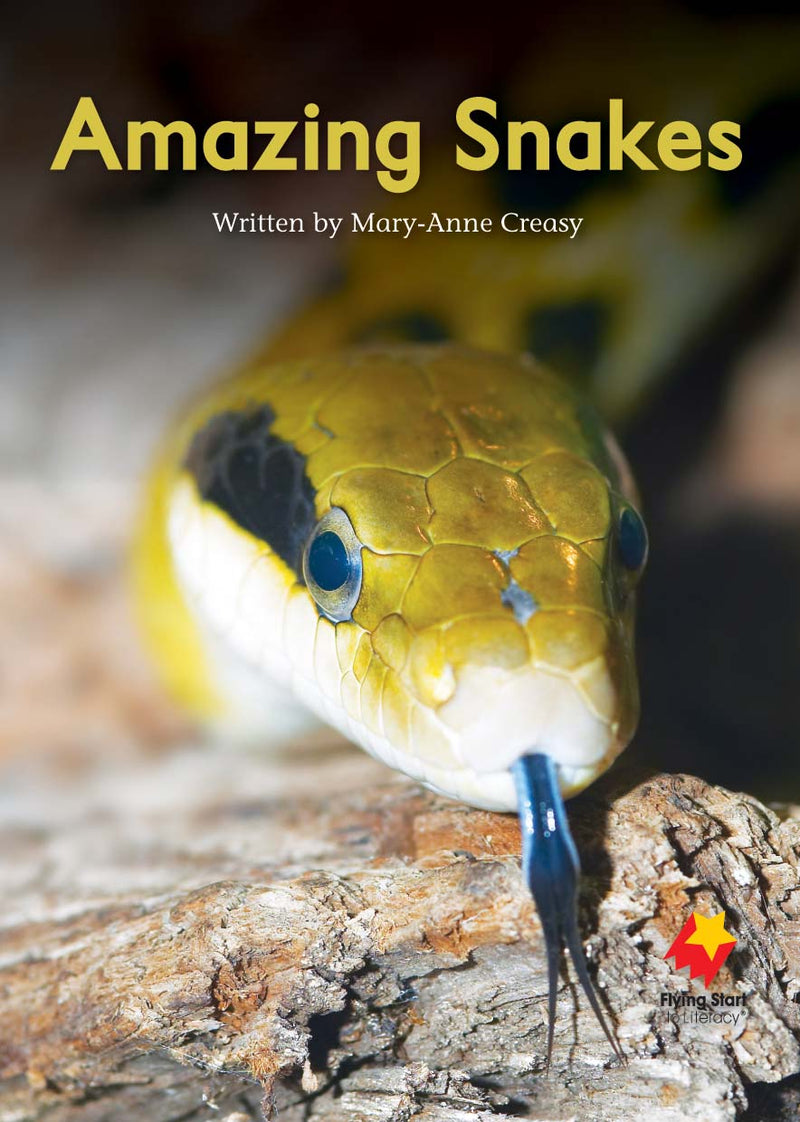 FS Level 15: Amazing Snakes